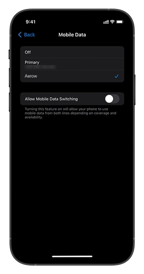 Gem eSIM how it works - activation